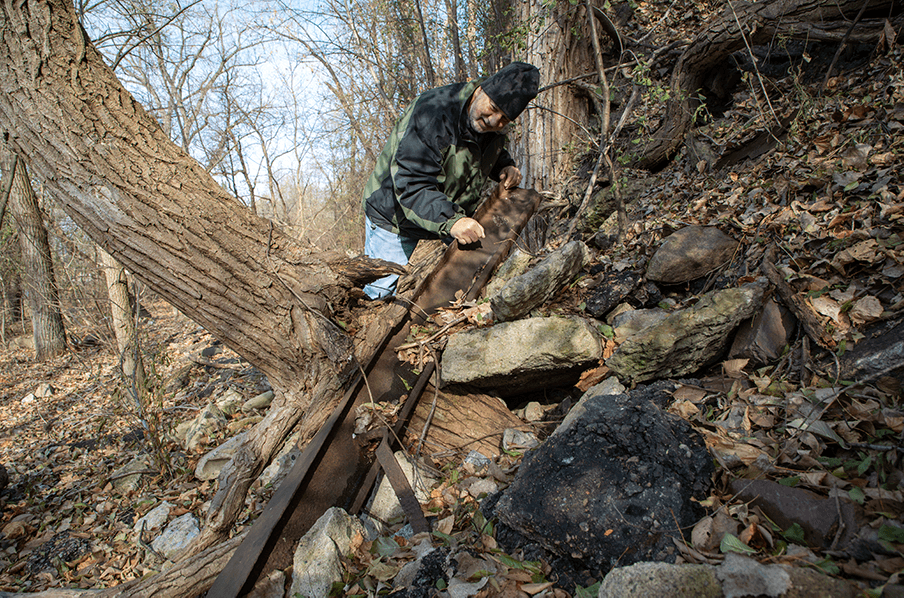A steel beem intertwined with tree roots