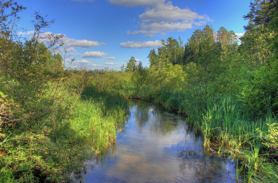 Elk Lake or Lake Itasca, a stream with verdant green banks.