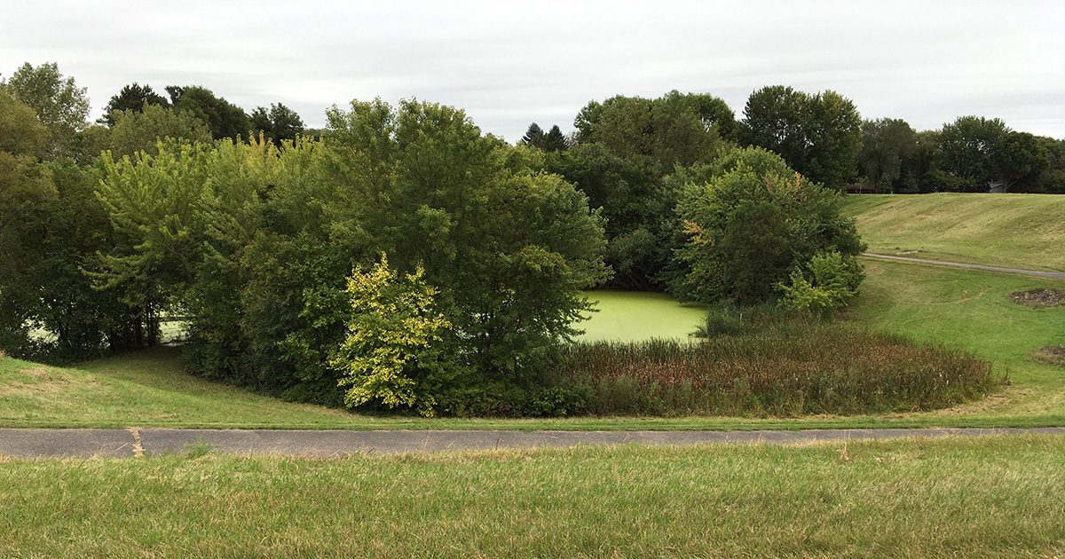 Hastings pond, surrounded by turfgrass