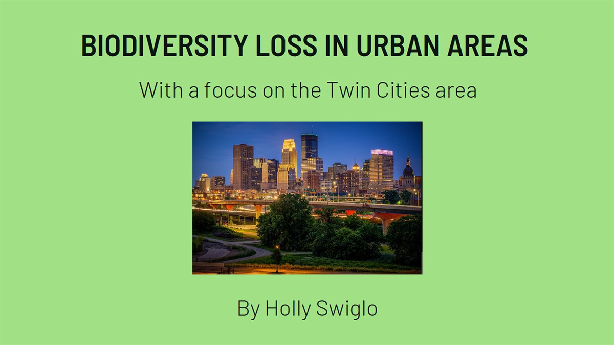 Biodiversity loss in urban areas with a focus on the Twin Cities Area by Holly Swiglo
