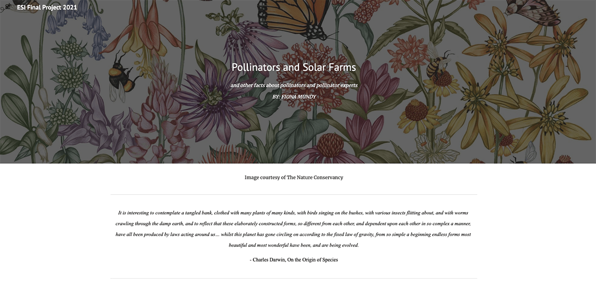 Front page of pollinator website