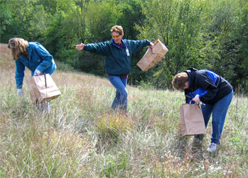 [Photo: 3M employees collecting prairie seed.]