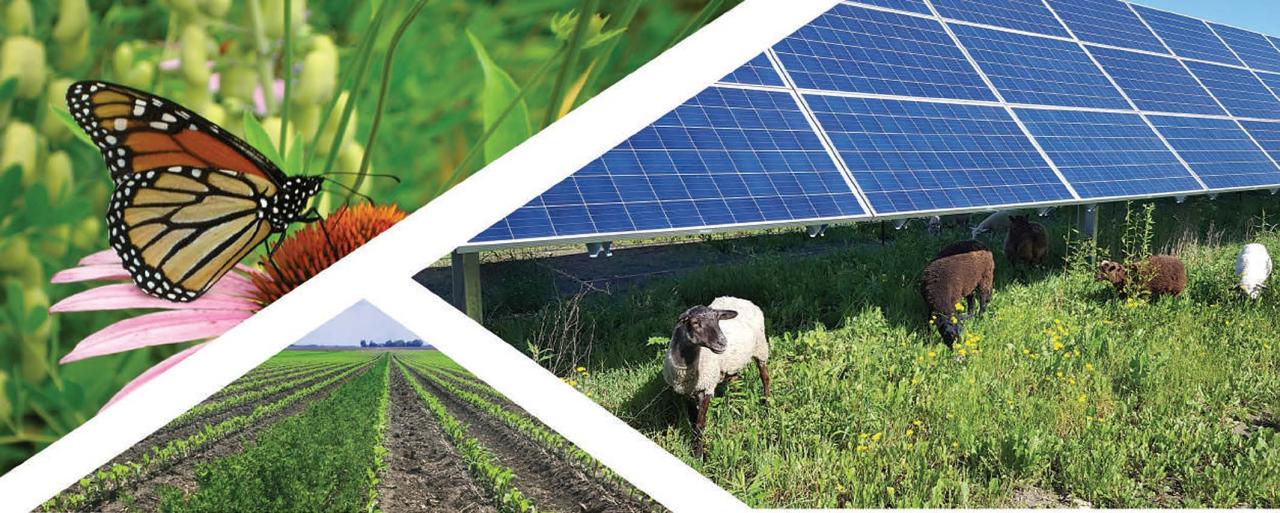 AgroEcology Summit: Butterflies, Bluegreens, Kilowatts & Calories AgroEcology Summit: Butterflies, Bluegreens, Kilowatts & Calories