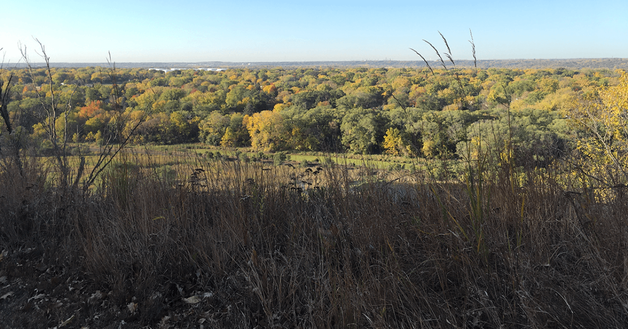 Camel’s Hump Park and Open Space View of field and forests