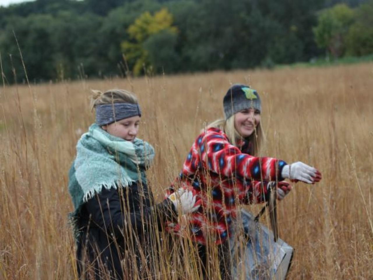 Habitat restoration volunteers collecting native seed in the prairie. Habitat restoration volunteers collecting native seed in the prairie.