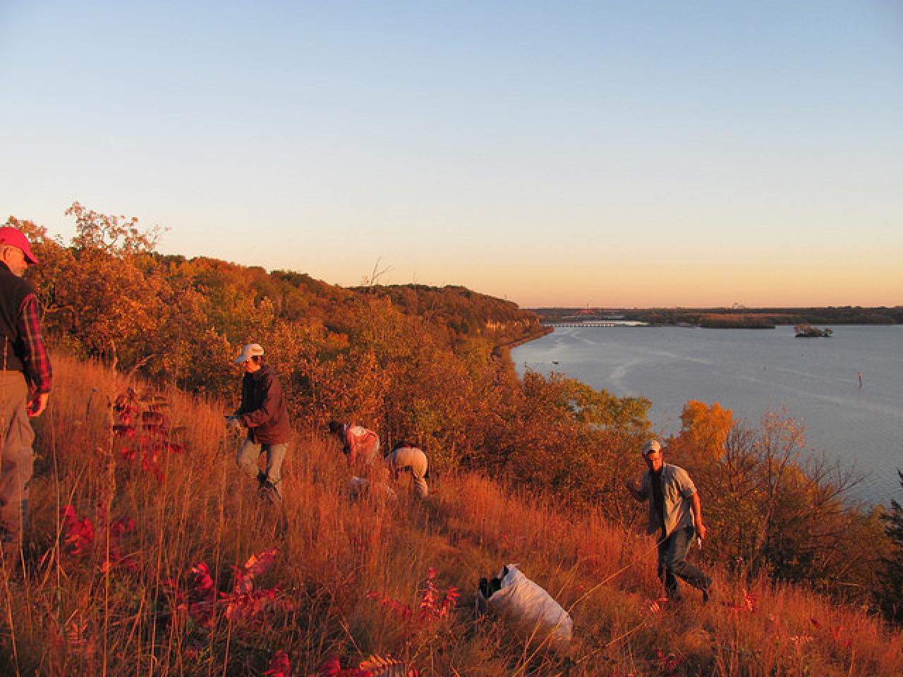 FMR volunteer event at River Oaks Park Volunteers on the prairie bluff at River Oaks Park
