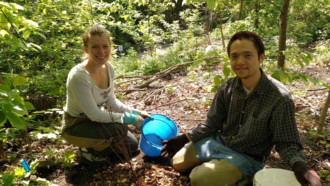 Volunteers planting native shrubs along the Mississippi River Gorge Volunteers planting native shrubs along the River Gorge