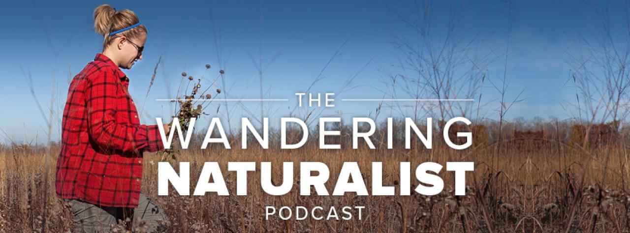 Wandering Naturalist Wandering Naturalist