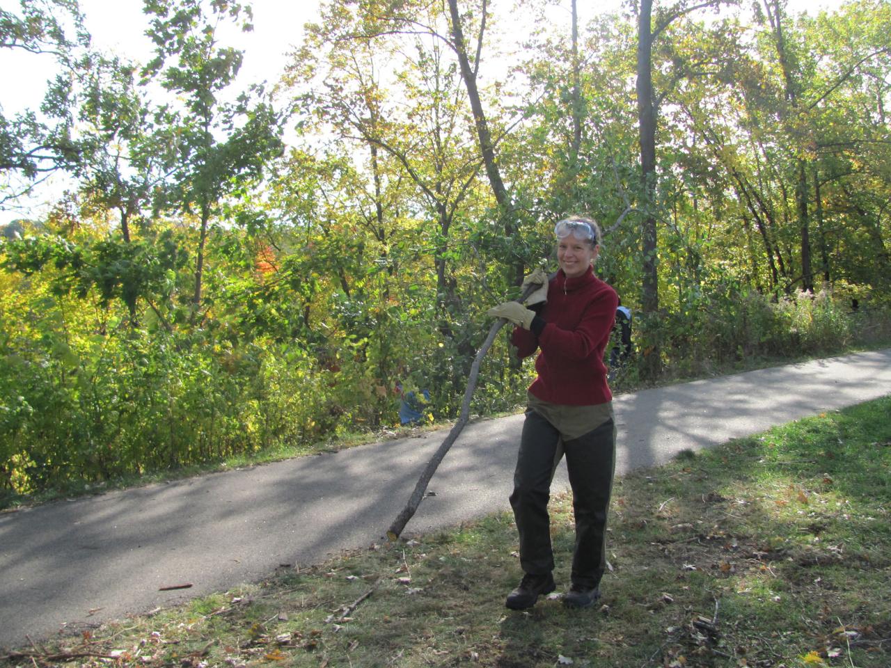 Volunteer hauling buckthorn brush Volunteer hauling buckthorn brush