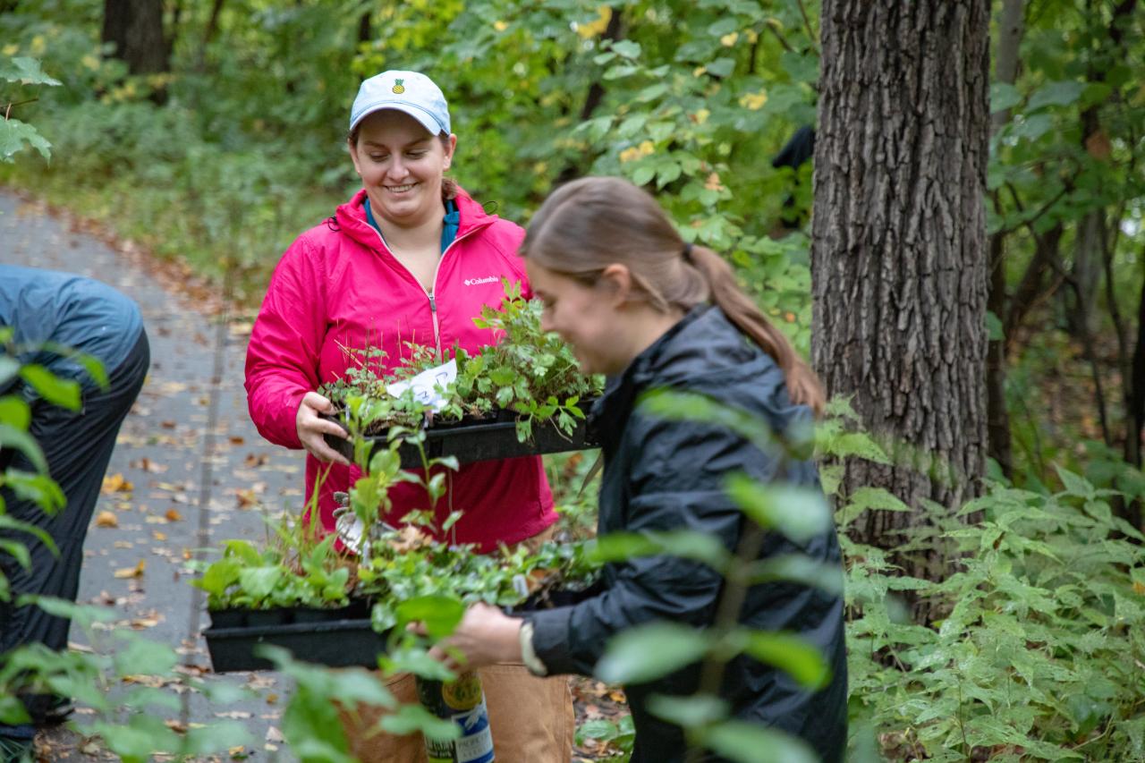 Volunteers with plants Volunteers at a previous gorge planting