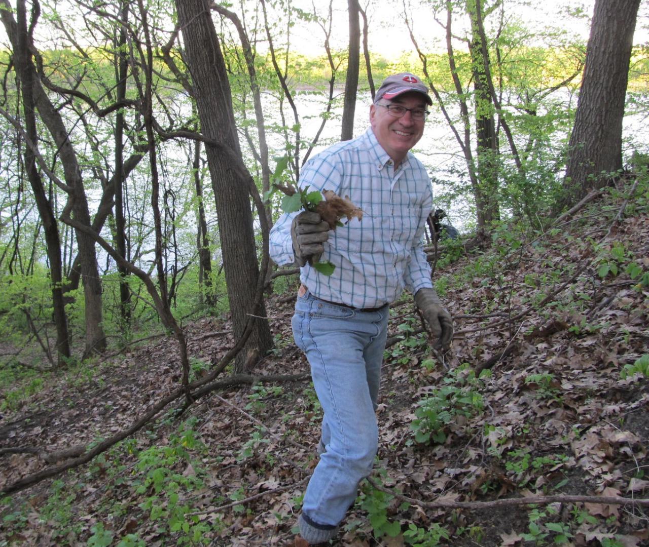 Pine Bend pull volunteer with garlic mustard Volunteer removing garlic mustard at Pine Bend