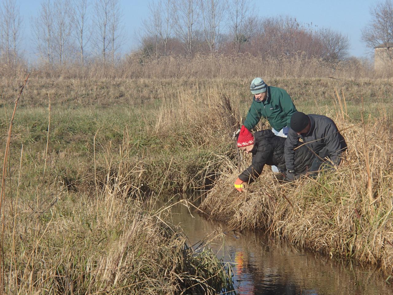 Planting along the river banks