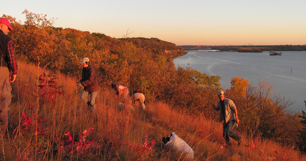 River Oaks Park view River bluff at sunset with volunteers