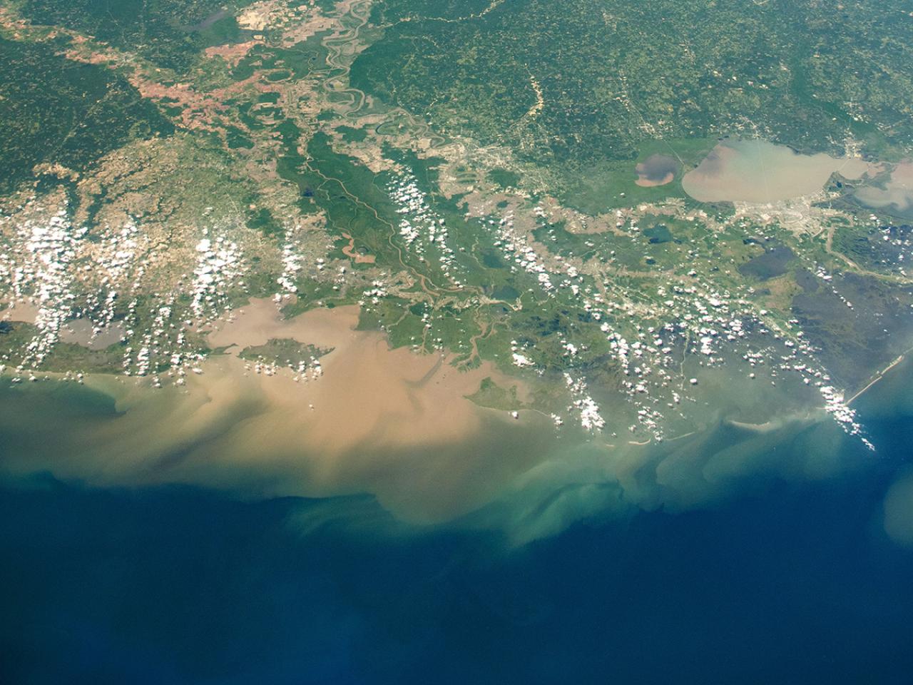 Sediment in the Gulf Sediment in the Gulf