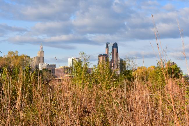 Foreground: a grassy field in autumn. Background: St. Paul downtown buildings
