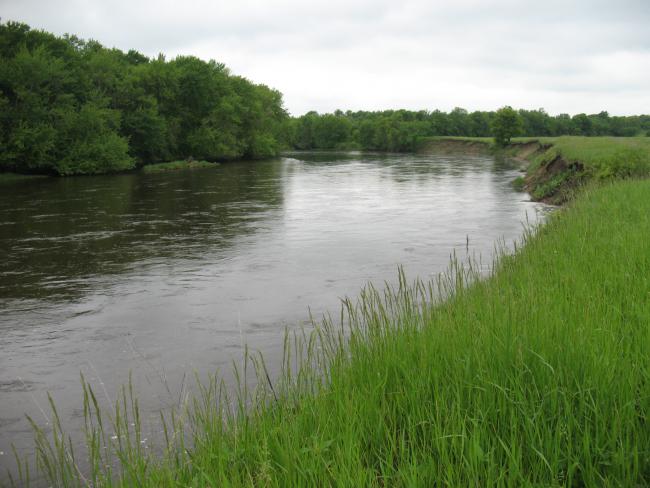 The Mississippi River runs along the southern edge of the Houlton Farm property, and the islands of the Mississippi River Islands SNA (left) already provide important protected habitat in the area.