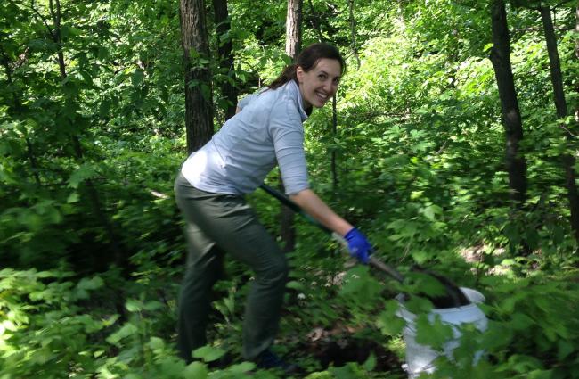 Volunteer planting native shrubs in the oak savanna woodland along the Mighty Mississippi in south Minneapolis.