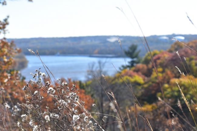 Autumn bluff and blue river