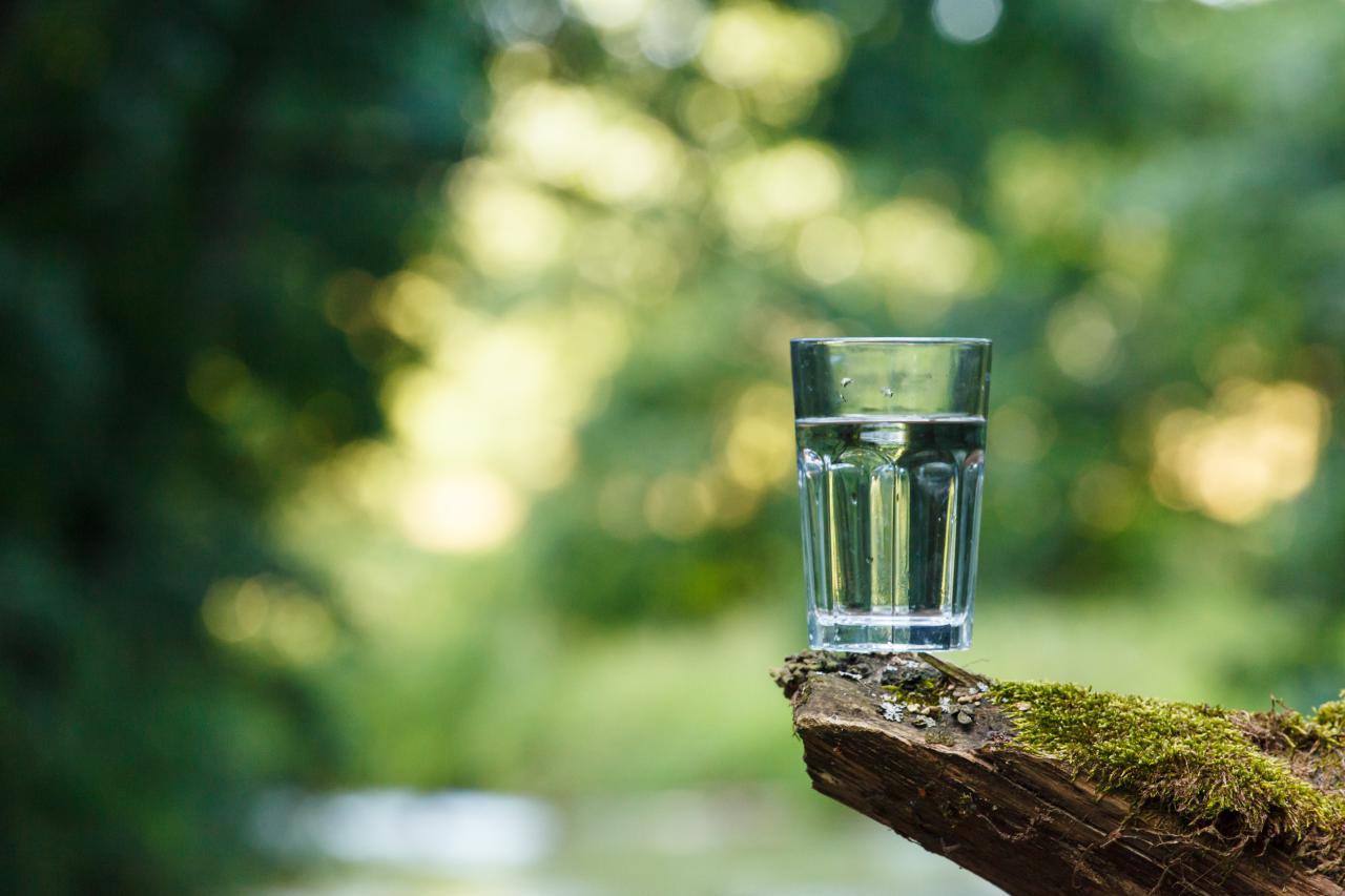 Water glass in a forest
